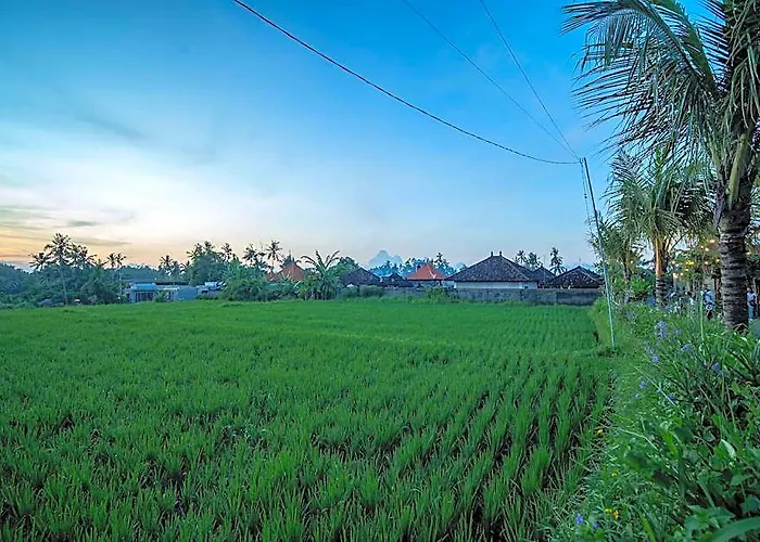 Meillya Ubud ホテル